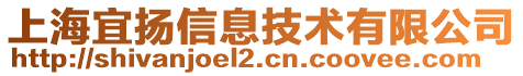 上海宜揚信息技術(shù)有限公司