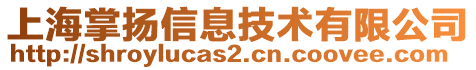 上海掌揚(yáng)信息技術(shù)有限公司