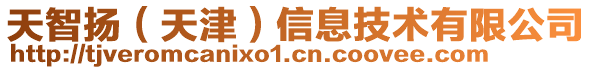 天智揚(yáng)（天津）信息技術(shù)有限公司