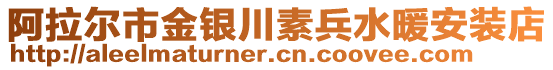 阿拉爾市金銀川素兵水暖安裝店