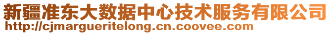 新疆準(zhǔn)東大數(shù)據(jù)中心技術(shù)服務(wù)有限公司