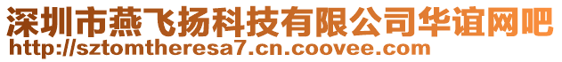 深圳市燕飛揚科技有限公司華誼網吧