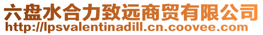 六盤(pán)水合力致遠(yuǎn)商貿(mào)有限公司