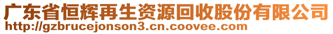 廣東省恒輝再生資源回收股份有限公司