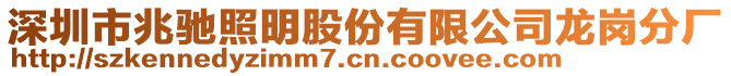 深圳市兆馳照明股份有限公司龍崗分廠