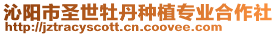 沁陽市圣世牡丹種植專業合作社