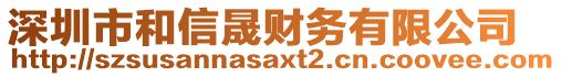 深圳市和信晟財(cái)務(wù)有限公司