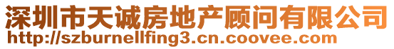 深圳市天誠(chéng)房地產(chǎn)顧問有限公司