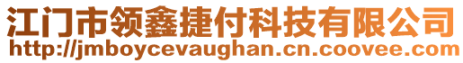 江门市领鑫捷付科技有限公司