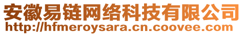 安徽易鏈網絡科技有限公司