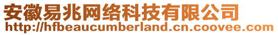 安徽易兆網(wǎng)絡科技有限公司