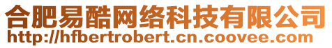 合肥易酷網絡科技有限公司