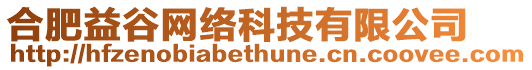 合肥益谷網(wǎng)絡(luò)科技有限公司