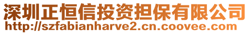 深圳正恒信投資擔保有限公司