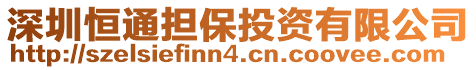 深圳恒通擔保投資有限公司