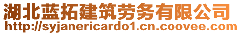 湖北藍拓建筑勞務有限公司