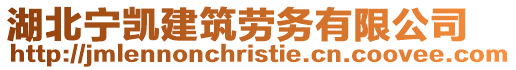 湖北寧凱建筑勞務有限公司
