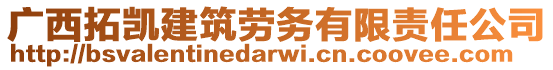 廣西拓凱建筑勞務(wù)有限責(zé)任公司