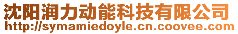沈陽(yáng)潤(rùn)力動(dòng)能科技有限公司