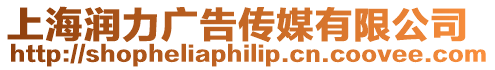 上海潤力廣告?zhèn)髅接邢薰? style=