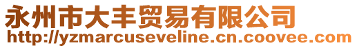 永州市大豐貿易有限公司
