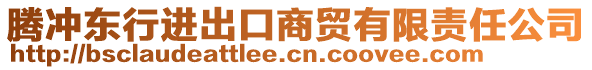 騰沖東行進出口商貿有限責任公司