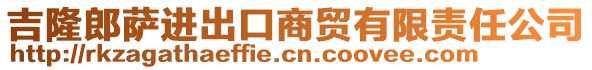 吉隆郎薩進(jìn)出口商貿(mào)有限責(zé)任公司