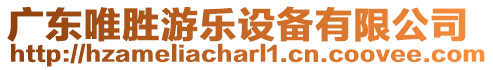 廣東唯勝游樂設備有限公司