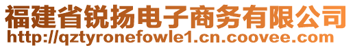 福建省銳揚電子商務有限公司