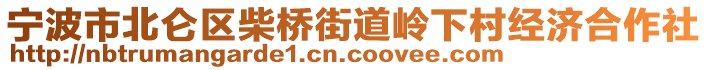 寧波市北侖區(qū)柴橋街道嶺下村經(jīng)濟(jì)合作社