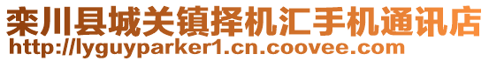 欒川縣城關(guān)鎮(zhèn)擇機匯手機通訊店