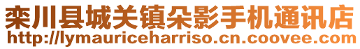 欒川縣城關鎮朵影手機通訊店
