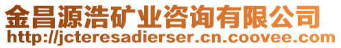 金昌源浩礦業(yè)咨詢有限公司