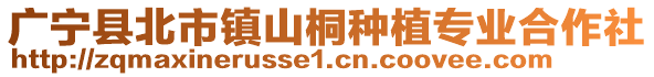 廣寧縣北市鎮山桐種植專業合作社