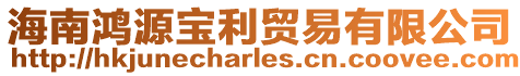 海南鴻源寶利貿易有限公司