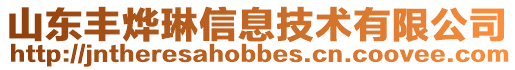 山東豐燁琳信息技術有限公司