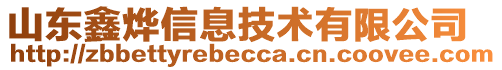 山東鑫燁信息技術有限公司
