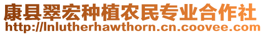 康縣翠宏種植農(nóng)民專業(yè)合作社