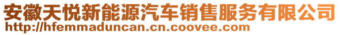安徽天悅新能源汽車銷售服務(wù)有限公司