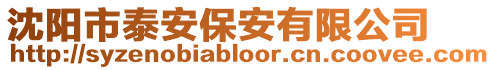 沈陽(yáng)市泰安保安有限公司