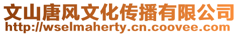文山唐風(fēng)文化傳播有限公司