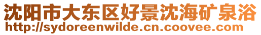 沈陽市大東區(qū)好景沈海礦泉浴