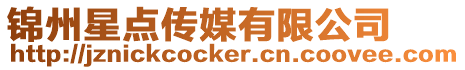 錦州星點傳媒有限公司