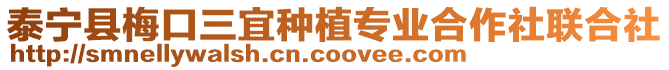 泰寧縣梅口三宜種植專業合作社聯合社