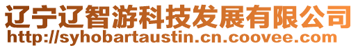 遼寧遼智游科技發(fā)展有限公司