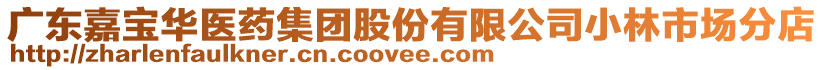 廣東嘉寶華醫藥集團股份有限公司小林市場分店