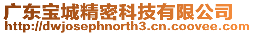 廣東寶城精密科技有限公司