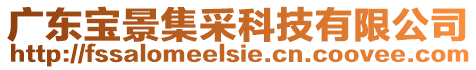 廣東寶景集采科技有限公司