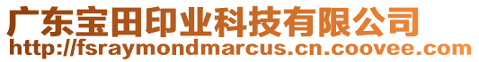 廣東寶田印業科技有限公司