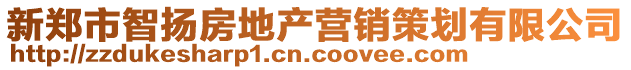 新鄭市智揚房地產(chǎn)營銷策劃有限公司